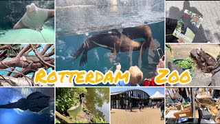 Rotterdam Zoo  Diergaarde Blijdorp  Netherlands [upl. by Gaile]