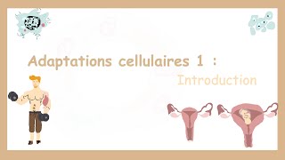 Adaptation Et Lésion Cellulaire Partie 1 Introduction [upl. by Pierro739]