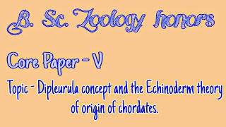 Dipleurula concept and the Echinoderm theory of origin of chordates [upl. by Riccardo]