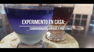 Experimento en casa carbohidratos lípidos y proteínas [upl. by Lewan]