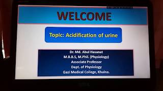 Acidification of urine [upl. by Hairabez]