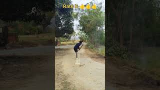 Clean Bowled 🔥🔥 Rate this inswinger 😯😯 bowled wicket inswing bumrah india indvsaus [upl. by Lombardi]