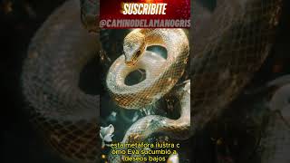 ¿Eva tuvo relaciones con la serpiente 🌿🐍 El misterio del Edén biblia ocultismo cabala tora [upl. by Liesa]