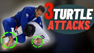 3 Ways to Finish From Turtle Position  Every White Belt MUST Know [upl. by Tanaka469]