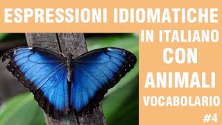 TEST ITALIANO B1 ESPRESSIONI IDIOMATICHE E VOCABOLARIO ANIMALI [upl. by Ahselyt785]