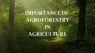 Importance of Agroforestry System in Agriculture [upl. by Fassold776]