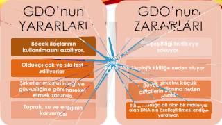 GDO GENETİĞİ DEĞİŞTİRİLMİŞ ORGANİZMA [upl. by Annot58]