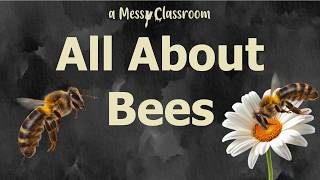 All About Bees  Inside the World of Honey Bees  Surprising Bee Facts That Will Blow Your Mind [upl. by Phelps653]