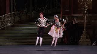 Swan Lake  Neapolitan Dance The Royal Ballet [upl. by Enelrats578]