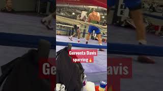 Gervonta Davis fenomenal en Sparring 🔥 [upl. by Amehr]