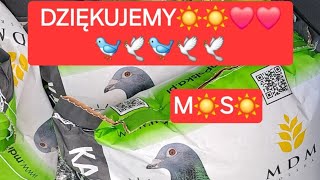 DEDYKACJA DLA  M☀️❤️ S☀️❤️ Miejskie Gołębie 🕊🐦🕊🕊🕊🕊🐦 ewak7702 [upl. by Ramyar152]