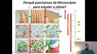 Aula 3  Tipos básicos de Microscopias [upl. by Sybilla]