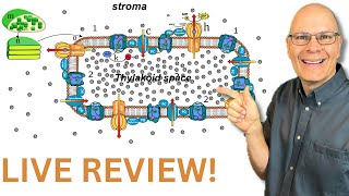 Secrets of Photosynthesis Revealed Live for AP Bio [upl. by Siloa]