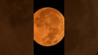 Sturgeon Moon  Super moon moon night nature sturgeonmoon shortnaturevideos [upl. by Oiruam]