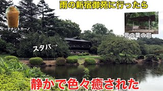 【スタバ】雨の新宿御苑、そしてスタバに行ったら癒された【大人の散歩】 [upl. by Oderfodog]