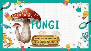 Belajar Tentang Fungi Fakta Menarik dan Perannya🍄 [upl. by Jennica223]