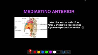 ANATOMIA DEL MEDIASTINO [upl. by Weinberg142]