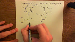 Thymidylate Synthase Inhibitors Part 4 [upl. by Eralcyram645]