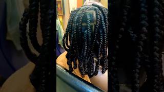 Bantu knots knotless braids tutorial [upl. by Orodoet903]