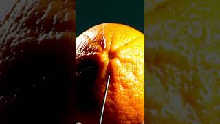 Inserting the needle into the lemon peel mqualitysatisfying [upl. by Boucher]