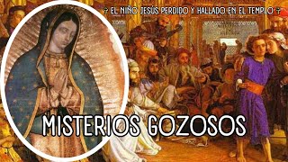 ❤️ Misterios Gozosos ✞ Señor Escucha Mi Oración ✝️ Santo Rosario [upl. by Roma172]