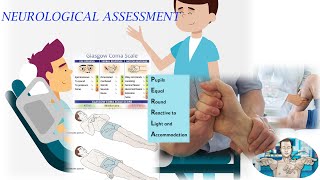 NEUROLOGICAL ASSESSMENT [upl. by Bell748]