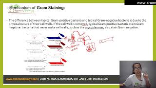 Gram staining principle and procedure [upl. by Anthea]