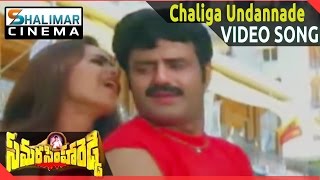 Samarasimha Reddy  Chaliga Undannade Video Songs  Bala Krishna Anjala Javeri  Shalimarcinema [upl. by Tebzil978]