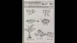 Agriculture Practical Drawing 🥢 agriculture practical drawing art painting shorts [upl. by Valonia]