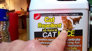 Excellent cat repellent that works and is safe for use around animals 100 ALL NATURAL ANIMAL REPELL [upl. by Mcgruter]