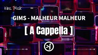 🗣️ GIMS  MALHEUR MALHEUR  A CAPPELLA  🗣️ [upl. by Teplitz]