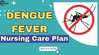 Nursing care plan on Dengue fever  Dengue fever slide share  Care Plan On Dengue fever [upl. by Daggna]