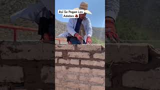 Maestro Albañil Pegando Adobes Con Barro 🧱🏡 shortvideo shortsvideo shorts short [upl. by Assirral]