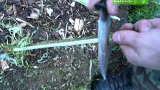 Greitas pagalio nužievinimas  Quick way to remove tree bark [upl. by Zelten]