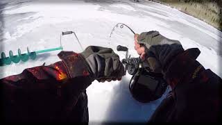 Ice Fishing Fish Lake Utah [upl. by Agripina239]