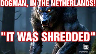 DOGMAN ENCOUNTER   NETHERLANDS [upl. by Dloreg]