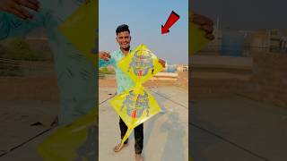 FLY A DOUBLE KITE 😱 shorts pkcrazyexperiments [upl. by Enileuqaj]