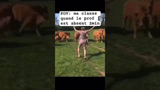 vache dance music [upl. by Bunder442]