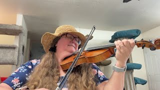 Day 3 a month of fiddle waltzes  Tombigbee Waltz [upl. by Deehsar]