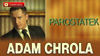 Parostatek  Adam Chrola Cover [upl. by Kaylee]