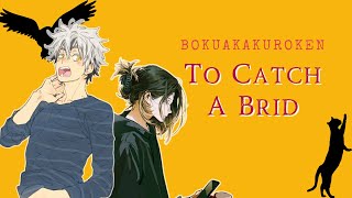 quotTo Catch a Birdquot  BokuAkaKuroKen  HurtComfort  Haikyuu texts [upl. by Proffitt547]