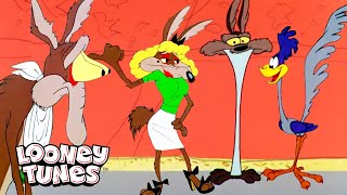 20 scrupulis Wile E Coyote calida Mes  Looney Tunes  GenWBLatino [upl. by Maccarone]