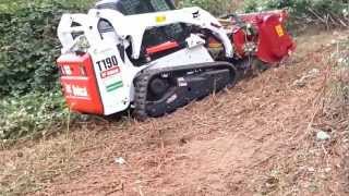 Bobcat T190 mit Forstmulcher anbaugerät [upl. by Siloam]