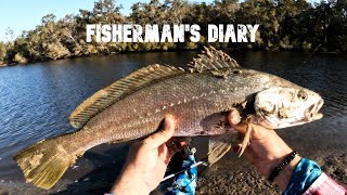 Wooli River Trolling For Flathead And Jewfish  Fishermans Diary Ep 777 [upl. by Stormie]