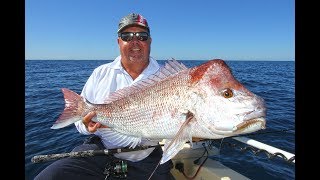 Double Island Point Snapper and AJs  Fishing With Scotto [upl. by Nayek]