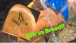 How many loaves of bread will a 22lr go through [upl. by Aerbua]