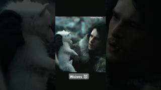 Found Dire Wolf 🐺 wolf got7 gameofthrones stark tales [upl. by Engelbert]