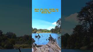 Above the tree beside the lake A peaceful escape at Deoria Talpahadi shorts travel shortvideo [upl. by Sivia]