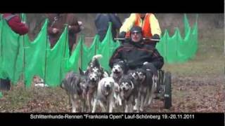 SchlittenhundeRennen quotFrankonia Openquot LaufSchönberg 1920112011 [upl. by Denney]