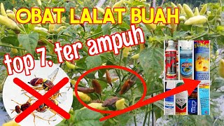 7 OBAT LALAT BUAH TER AMPUH INSEKTISIDA TERGANASS [upl. by Shaughn]